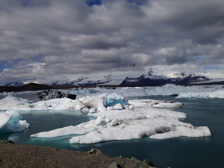 Photo by Sabrina Lamberth-Cocca