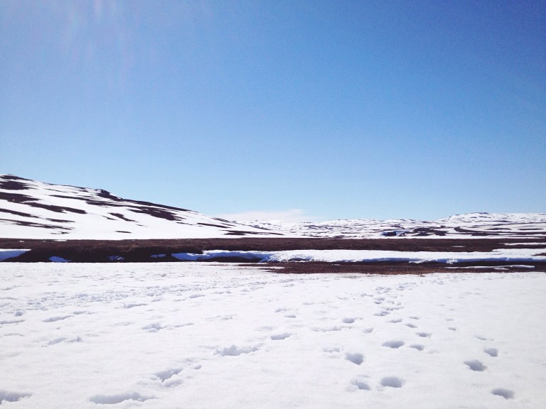 Road conditions are generally good, but still in May, snow might occur - especially in the Northern parts of Iceland | Photo by Sabrina Lamberth-Cocca